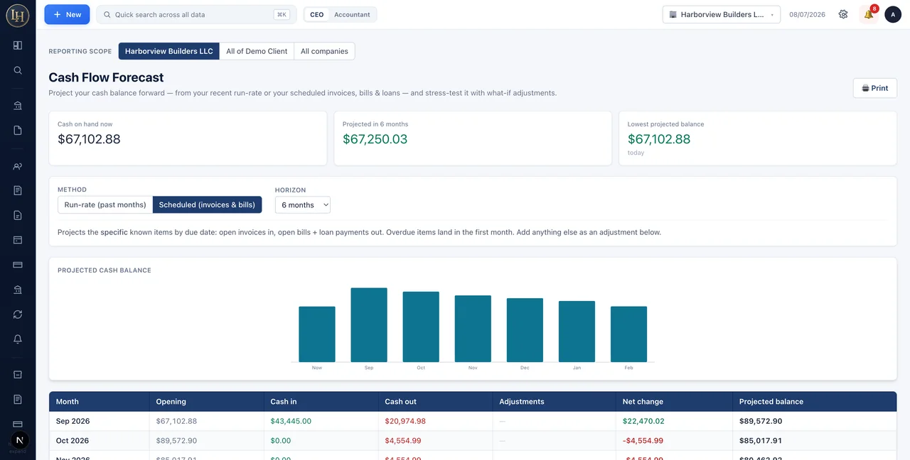 Actual NetLedg cash flow forecast with projected balances and assumptions. Fictional demonstration data.