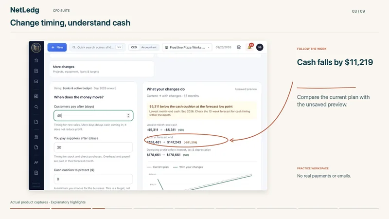 CFO Suite — real NetLedg practice workspace